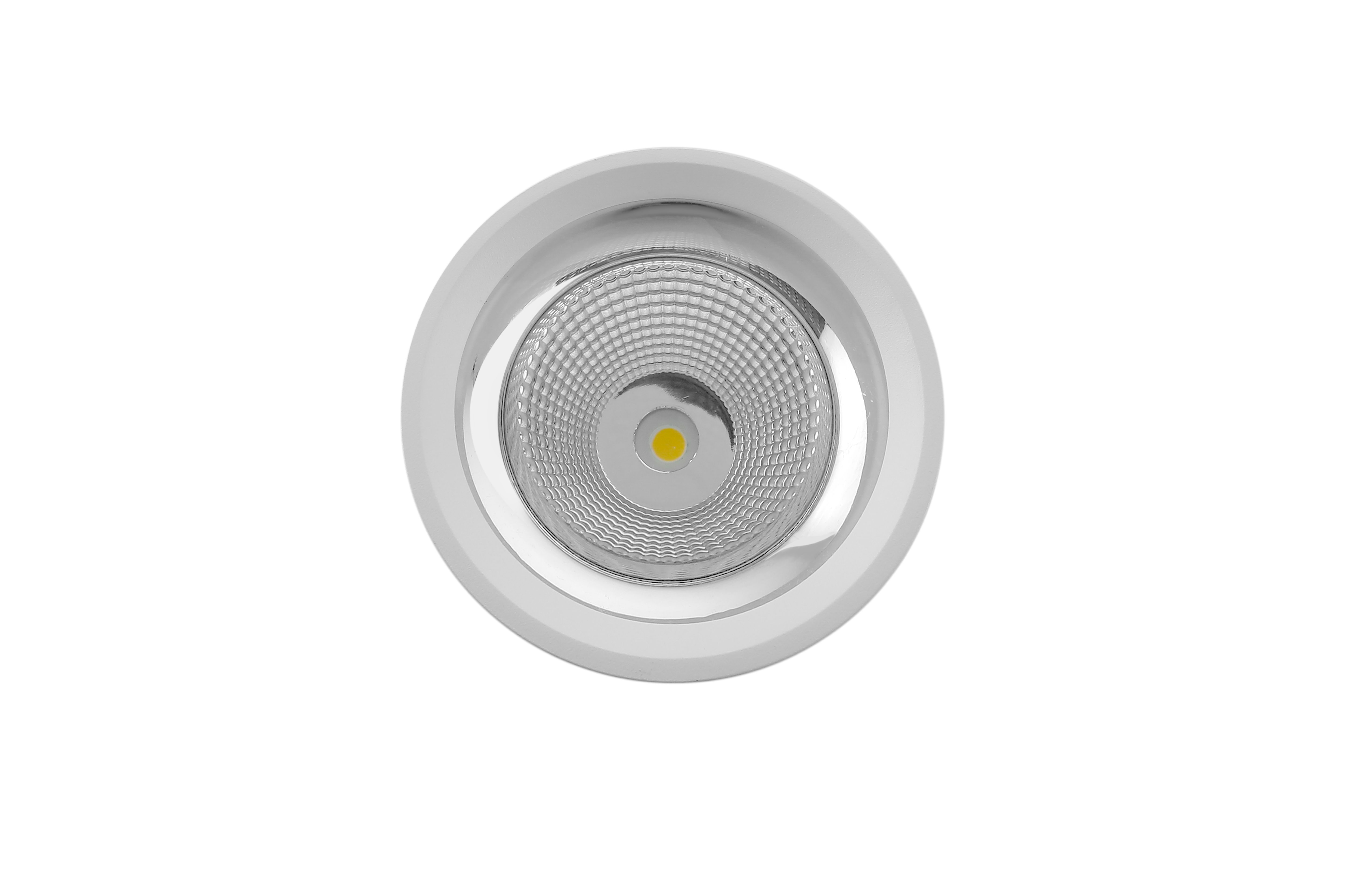 project-details
